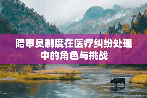 陪审员制度在医疗纠纷处理中的角色与挑战