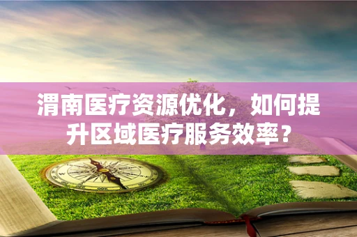 渭南医疗资源优化，如何提升区域医疗服务效率？