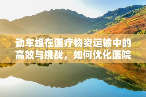动车组在医疗物资运输中的高效与挑战，如何优化医院行政的物流管理？