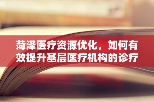 菏泽医疗资源优化，如何有效提升基层医疗机构的诊疗效率？
