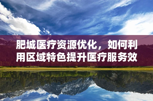 肥城医疗资源优化，如何利用区域特色提升医疗服务效率？
