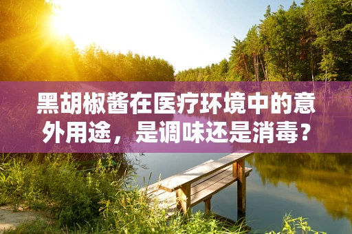黑胡椒酱在医疗环境中的意外用途，是调味还是消毒？