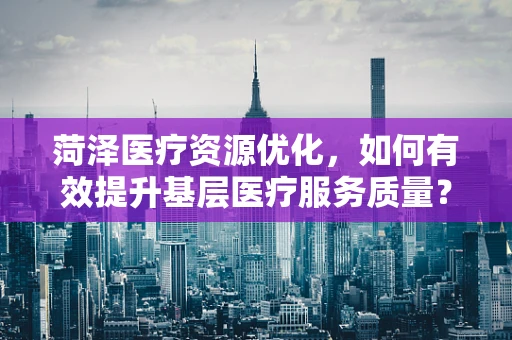 菏泽医疗资源优化，如何有效提升基层医疗服务质量？