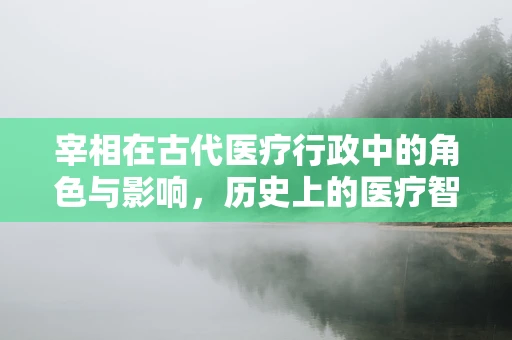 宰相在古代医疗行政中的角色与影响，历史上的医疗智囊