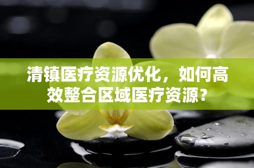清镇医疗资源优化，如何高效整合区域医疗资源？
