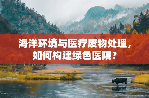 海洋环境与医疗废物处理，如何构建绿色医院？
