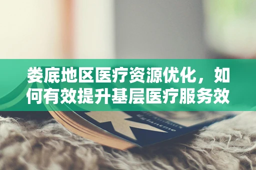 娄底地区医疗资源优化，如何有效提升基层医疗服务效率？