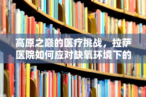 高原之巅的医疗挑战，拉萨医院如何应对缺氧环境下的工作与患者救治？