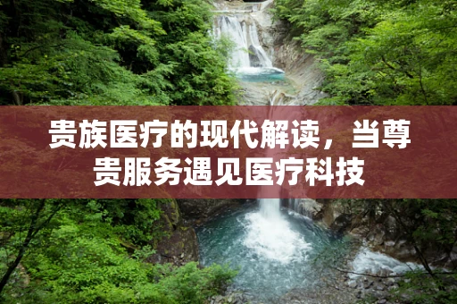 贵族医疗的现代解读，当尊贵服务遇见医疗科技