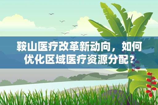鞍山医疗改革新动向，如何优化区域医疗资源分配？