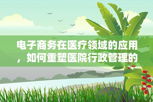 电子商务在医疗领域的应用，如何重塑医院行政管理的未来？