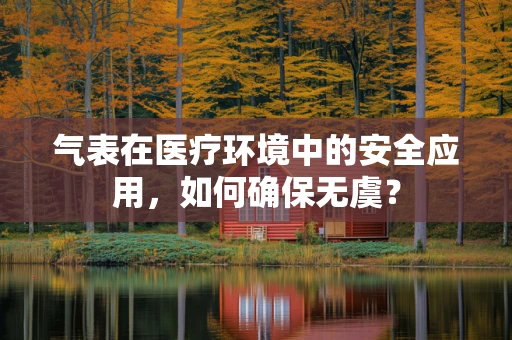气表在医疗环境中的安全应用，如何确保无虞？