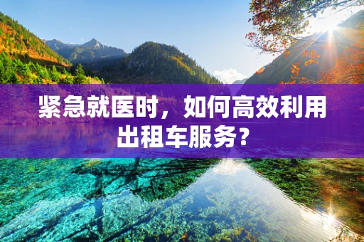 紧急就医时，如何高效利用出租车服务？