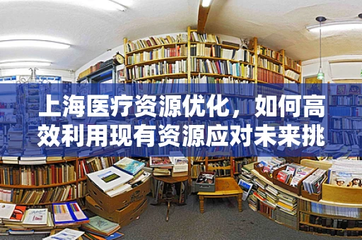 上海医疗资源优化，如何高效利用现有资源应对未来挑战？
