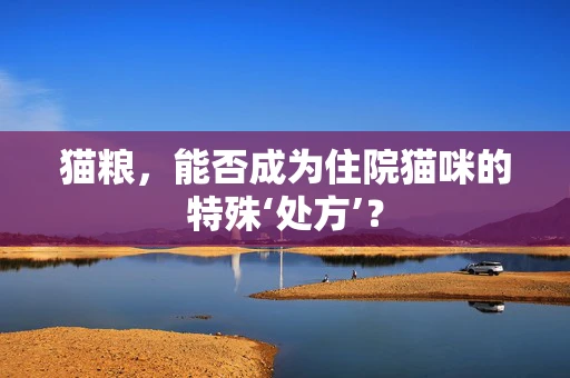 猫粮，能否成为住院猫咪的特殊‘处方’？