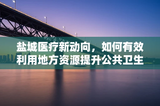 盐城医疗新动向，如何有效利用地方资源提升公共卫生应急能力？