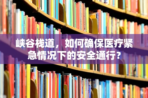 峡谷栈道，如何确保医疗紧急情况下的安全通行？
