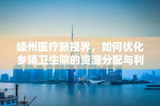 嵊州医疗新视界，如何优化乡镇卫生院的资源分配与利用？