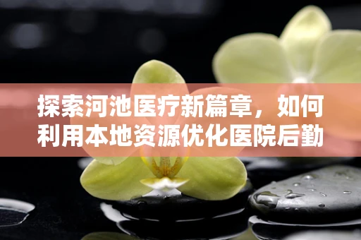 探索河池医疗新篇章，如何利用本地资源优化医院后勤管理？