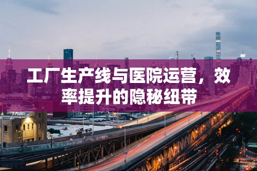 工厂生产线与医院运营，效率提升的隐秘纽带