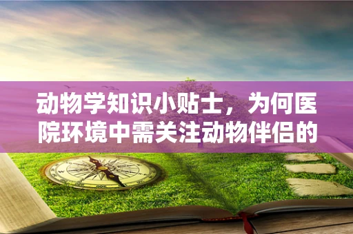 动物学知识小贴士，为何医院环境中需关注动物伴侣的心理健康？