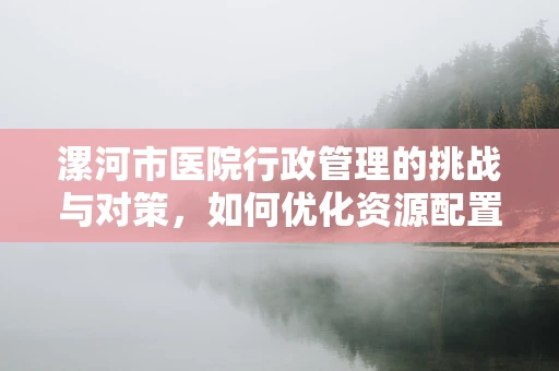 漯河市医院行政管理的挑战与对策，如何优化资源配置？