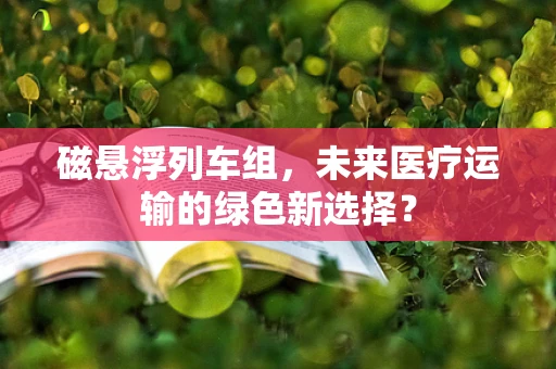 磁悬浮列车组，未来医疗运输的绿色新选择？