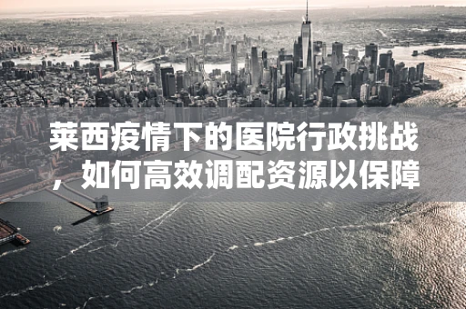 莱西疫情下的医院行政挑战，如何高效调配资源以保障医疗服务？