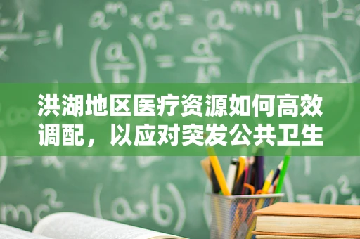 洪湖地区医疗资源如何高效调配，以应对突发公共卫生事件？