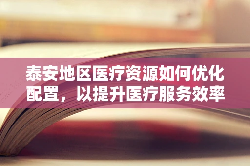 泰安地区医疗资源如何优化配置，以提升医疗服务效率？