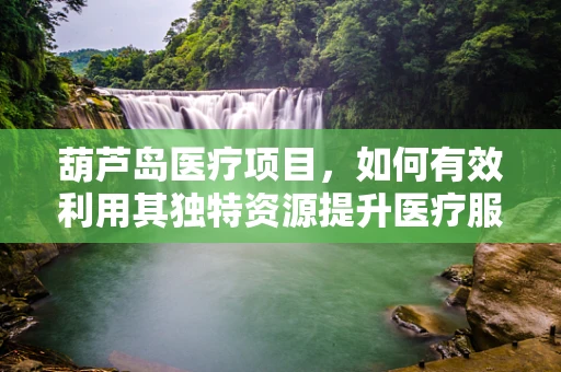 葫芦岛医疗项目，如何有效利用其独特资源提升医疗服务？
