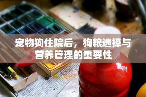 宠物狗住院后，狗粮选择与营养管理的重要性