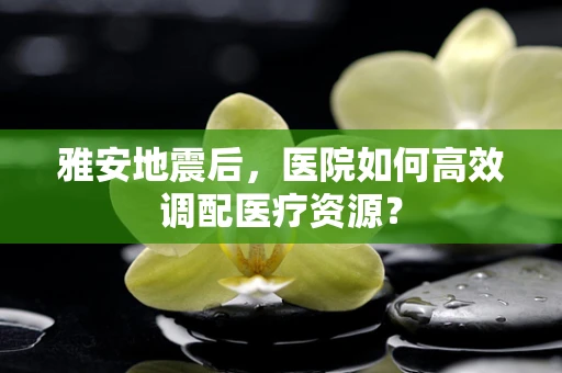 雅安地震后，医院如何高效调配医疗资源？