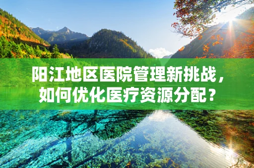阳江地区医院管理新挑战，如何优化医疗资源分配？