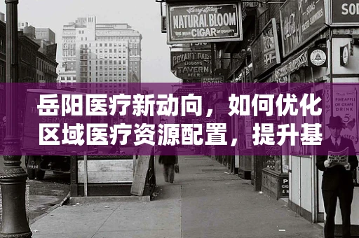岳阳医疗新动向，如何优化区域医疗资源配置，提升基层医疗服务质量？