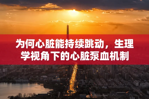 为何心脏能持续跳动，生理学视角下的心脏泵血机制