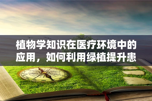 植物学知识在医疗环境中的应用，如何利用绿植提升患者康复环境？