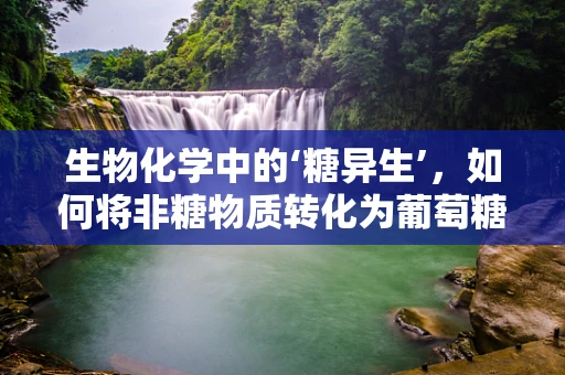 生物化学中的‘糖异生’，如何将非糖物质转化为葡萄糖？