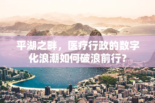平湖之畔，医疗行政的数字化浪潮如何破浪前行？