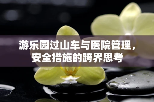 游乐园过山车与医院管理，安全措施的跨界思考