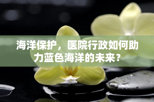 海洋保护，医院行政如何助力蓝色海洋的未来？