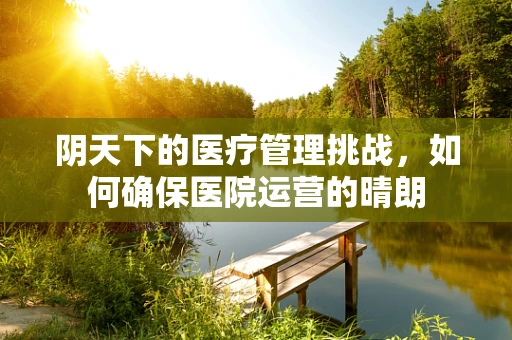 阴天下的医疗管理挑战，如何确保医院运营的晴朗