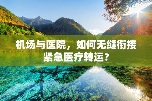 机场与医院，如何无缝衔接紧急医疗转运？