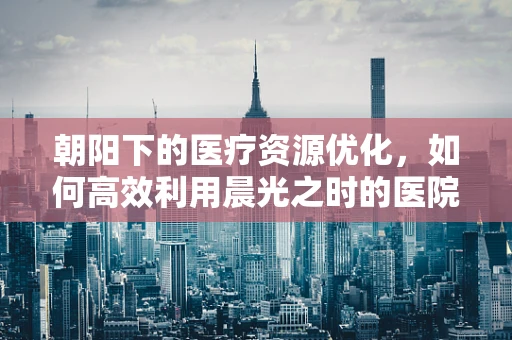 朝阳下的医疗资源优化，如何高效利用晨光之时的医院运营？