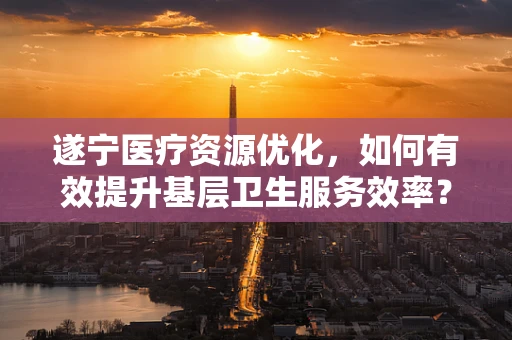 遂宁医疗资源优化，如何有效提升基层卫生服务效率？