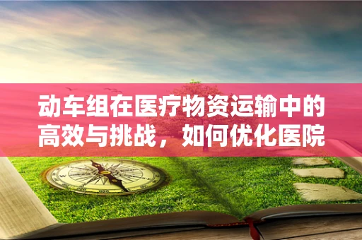 动车组在医疗物资运输中的高效与挑战，如何优化医院行政物流管理？